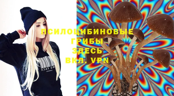 альфа пвп Армянск