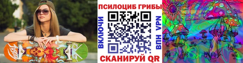 Псилоцибиновые грибы Cubensis  ОМГ ОМГ ONION  Порхов 